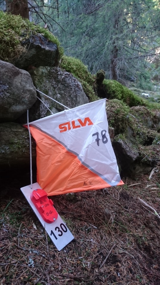 Treningsløp i Leveld 2. juni 18:00 - 20:00